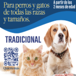 Chronos Barf Tradicional